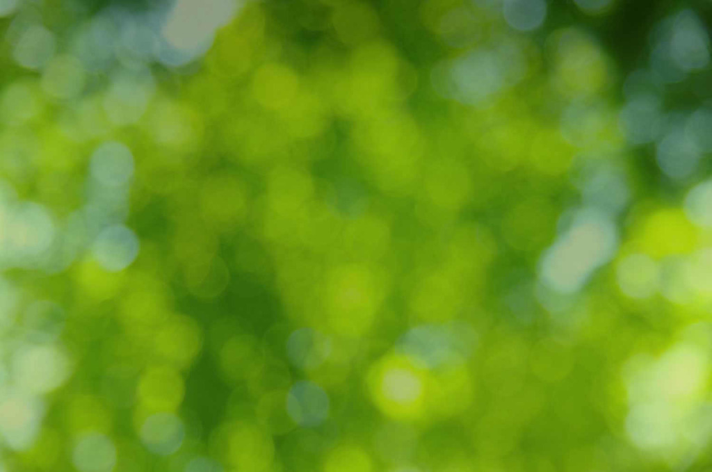 bokeh